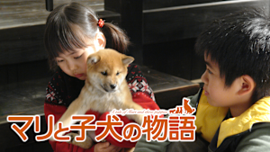 マリと子犬の物語