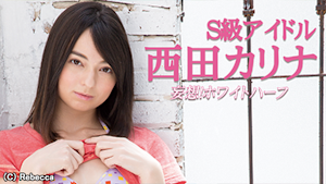 S級アイドル／＜妄想！ホワイトハーフ＞西田カリナ