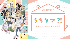 うちタマ？！ ～うちのタマ知りませんか？～