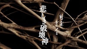 精霊の守り人ＩＩ　悲しき破壊神