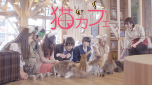猫カフェ