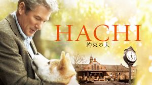 HACHI 約束の犬