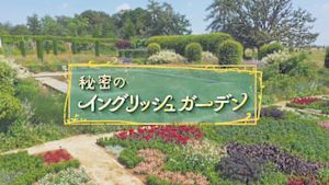 秘密のイングリッシュガーデン