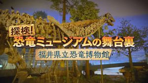 探検！恐竜ミュージアムの舞台裏～福井県立恐竜博物館～