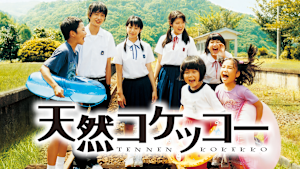 天然コケッコー