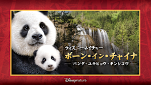 ディズニーネイチャー／ボーン・イン・チャイナ -パンダ・ユキヒョウ・キンシコウ-