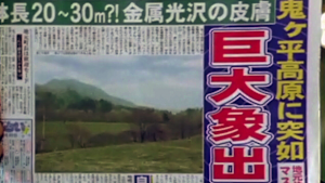 Quest17 象が消えて…