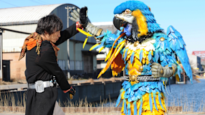 第26話「アンクとリングと全部のせ」