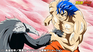 第017話 超トリコ、怒りの拳！これが最強の釘パンチ！