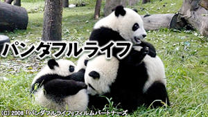 パンダフルライフ