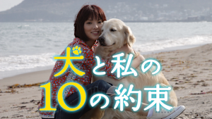 犬と私の10の約束