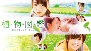 植物図鑑 運命の恋、ひろいました