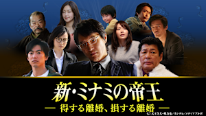 新・ミナミの帝王（XIV）-得する離婚、損する離婚-