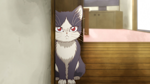 第1話 未知との遭遇