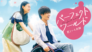 パーフェクトワールド 君といる奇跡