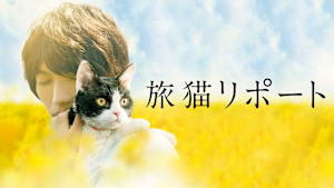 旅猫リポート