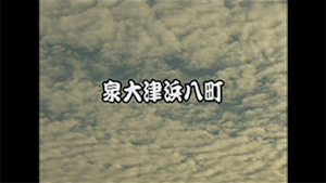 2008 泉大津浜八町連合本宮