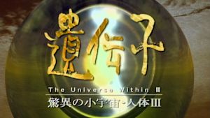 Ｎスペ　驚異の小宇宙　人体３