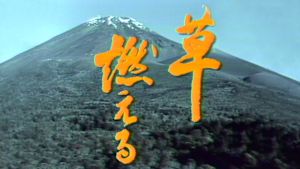 大河ドラマ　草燃える　総集編