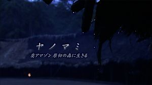 Ｎスペ　ヤノマミ