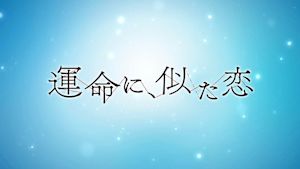 運命に、似た恋
