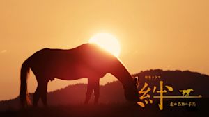 特集ドラマ　絆～走れ奇跡の子馬～