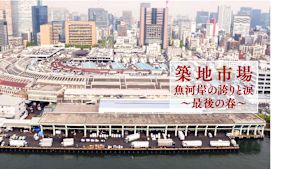 築地市場　魚河岸の誇りと涙