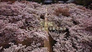 もうひとつの御所