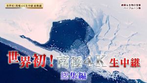 南極４Ｋ生中継