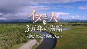 イヌと人の奇跡の物語