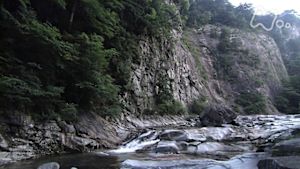 さわやか自然百景　石鎚山麓　面河渓