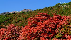さわやか自然百景　北海道　恵山