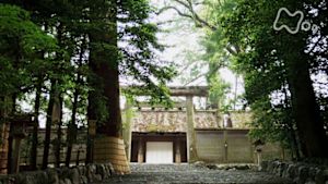 さわやか自然百景　伊勢神宮の森