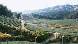 さわやか自然百景　静岡　掛川丘陵