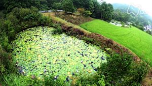 さわやか自然百景　兵庫　宝塚　西谷の里