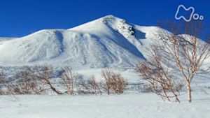 さわやか自然百景　北アルプス　乗鞍岳　厳冬
