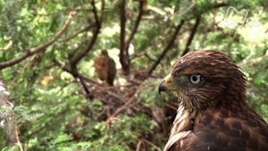 さわやか自然百景　茨城　宍塚大池