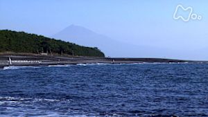 さわやか自然百景　静岡　三保松原の海