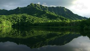 さわやか自然百景　長野　戸隠山