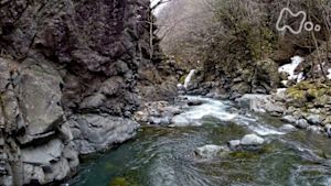 さわやか自然百景　多摩川源流域