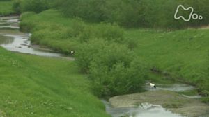 さわやか自然百景　初夏　十勝川