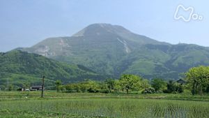 さわやか自然百景　伊吹山　春