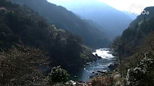 さわやか自然百景　吉野川上流　春