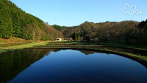 さわやか自然百景　鳥取　日野川