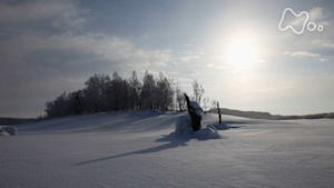 さわやか自然百景　北海道　朱鞠内湖