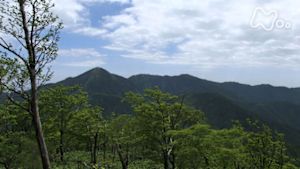 さわやか自然百景　丹沢山地