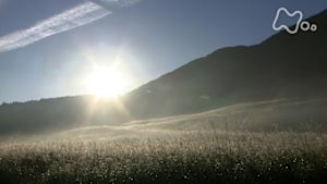 さわやか自然百景　箱根　仙石原