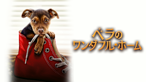 ベラのワンダフル・ホーム