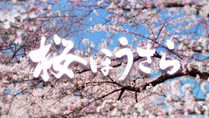 桜ほうさら