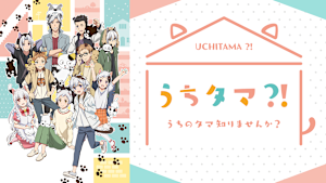 うちタマ？！ ～うちのタマ知りませんか？～